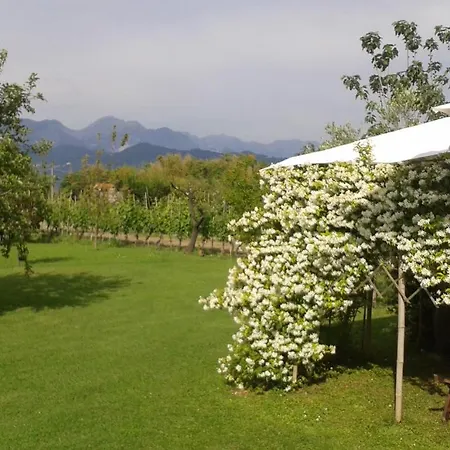 Casa Margubbio Дом отдыха Амелия